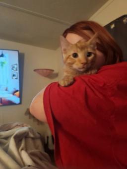 Chicken Nugget, image 4