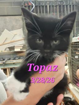Topaz