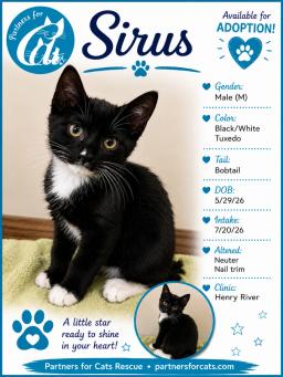 Sirus