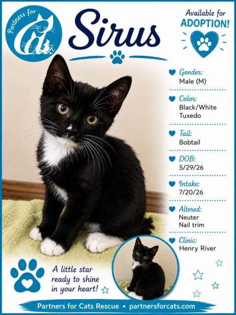 Sirus