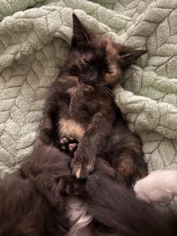 Trudy (Bonded With Kim)