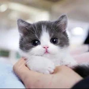 Test 5