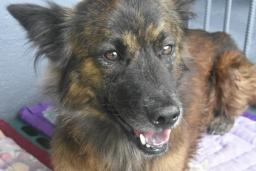 Jack, image 2