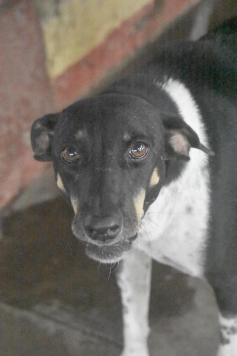Betty