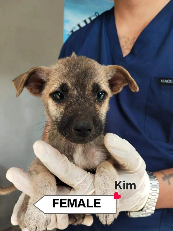 Kim