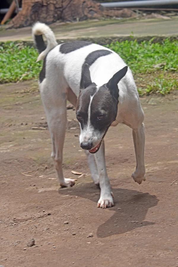 Sally