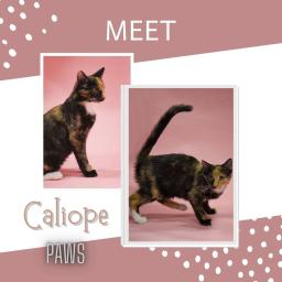 Caliope
