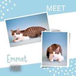 Emmet