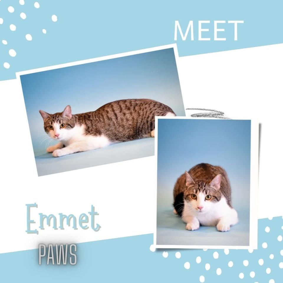 Emmet