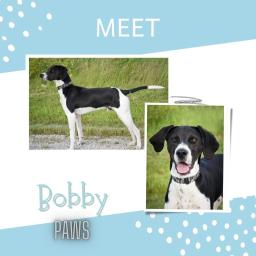 Bobby