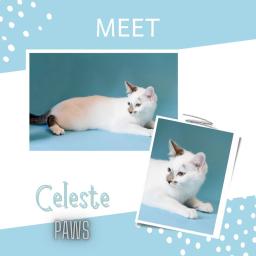 Celeste
