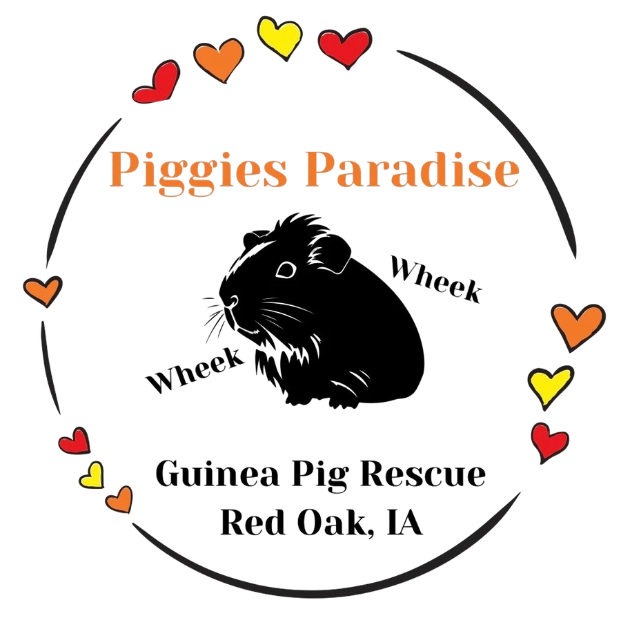 Piggies Paradise logo