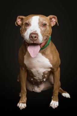 Maggie, image 3