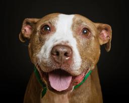 Maggie