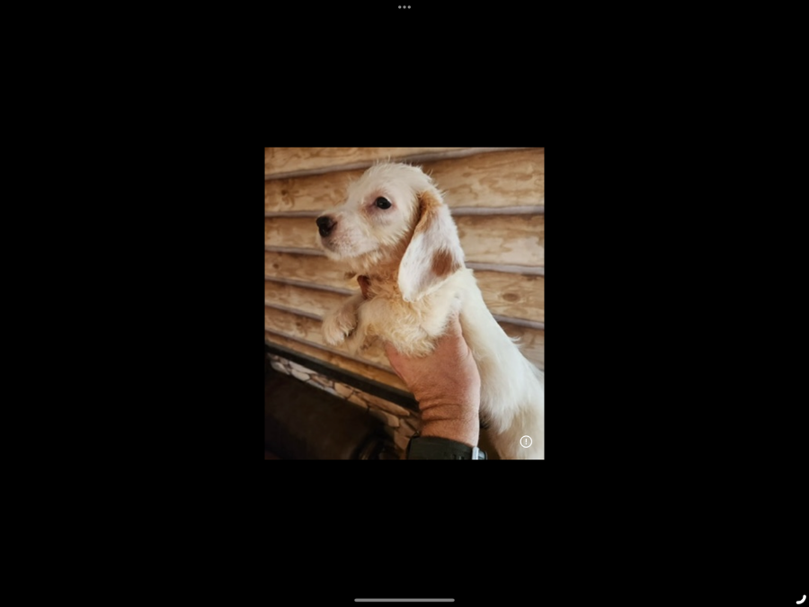 Benny