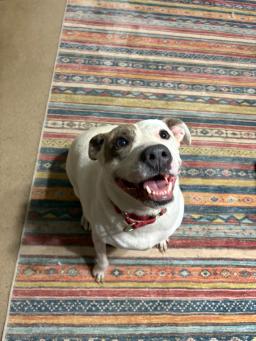 Rosie