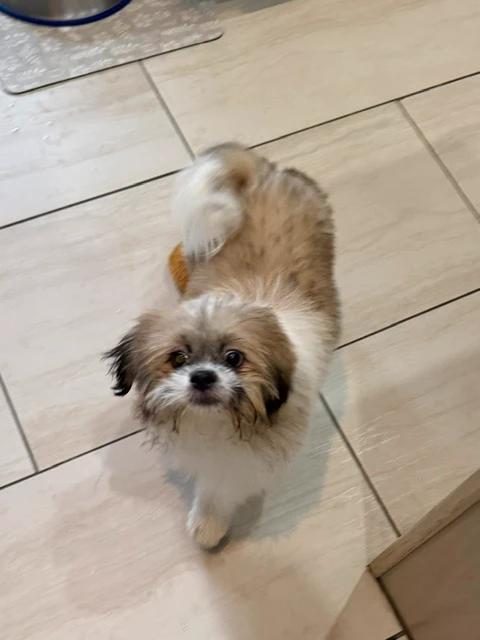 Murphy