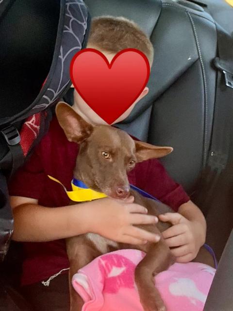 Chichi