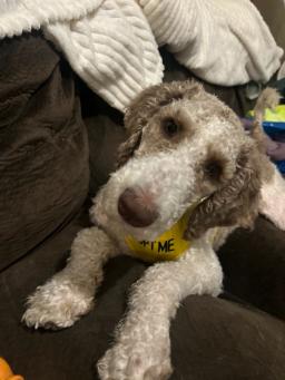 Wallace