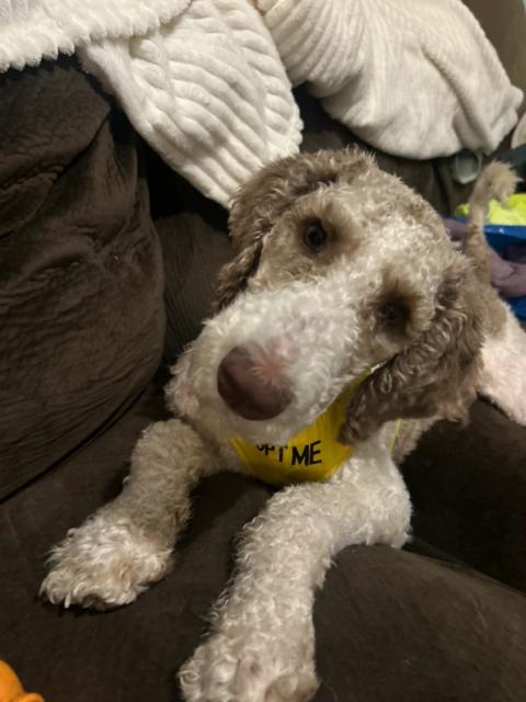 Wallace