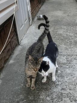 Missy & Minnie