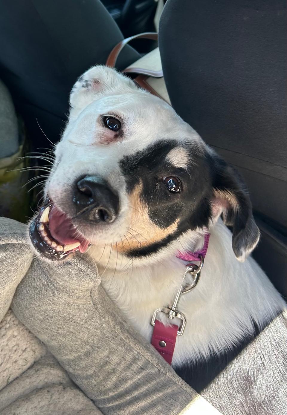 Gina