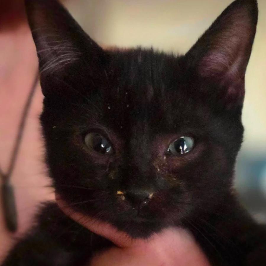 Salem