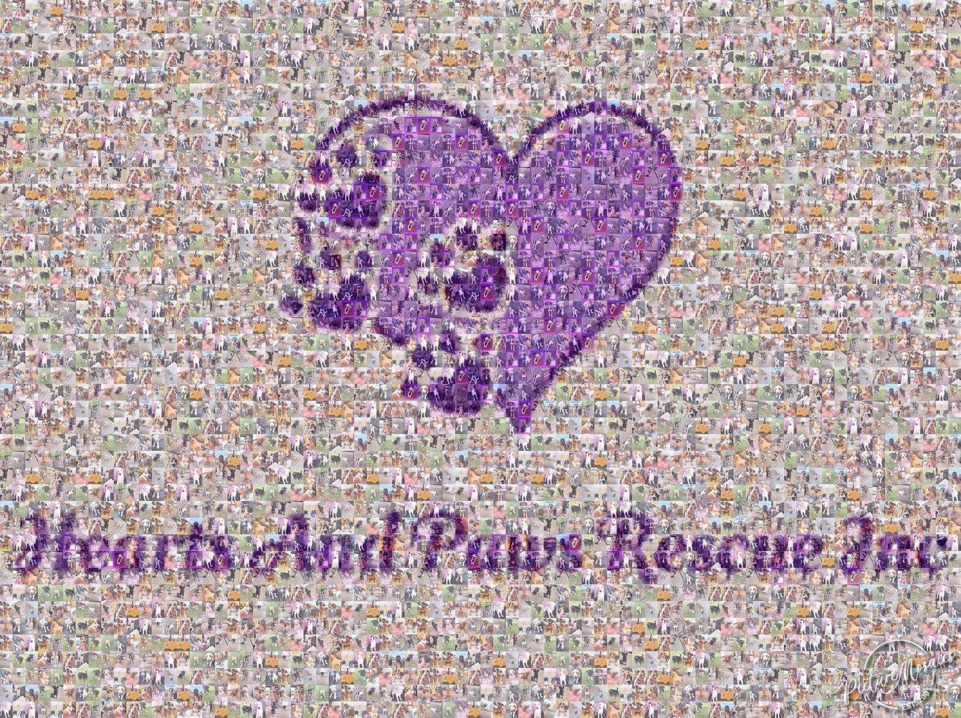 Hearts And Paws Rescue Inc logo