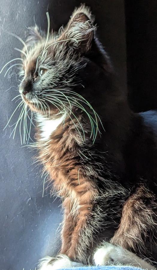 Abby