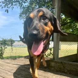 Lucy, image 4