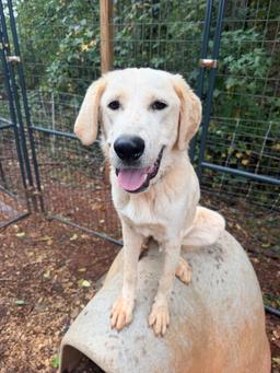 Shiloh