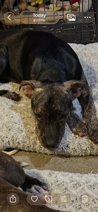 Maggie