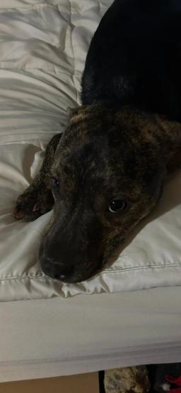 Maggie, image 2