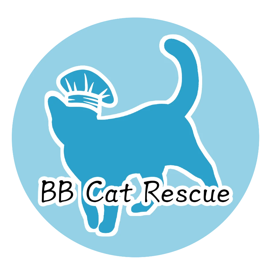 Biscuit Bakery Cat Rescue and Sanctuary logo