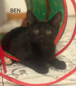 Ben