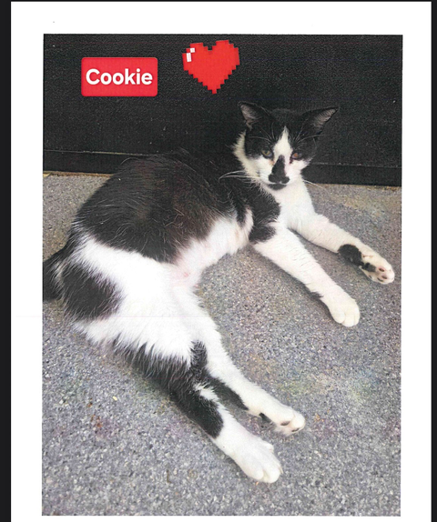 Cookie