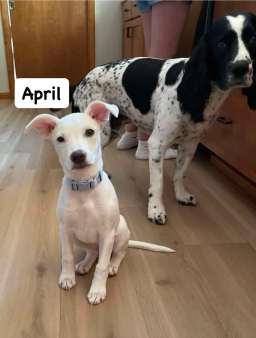 April